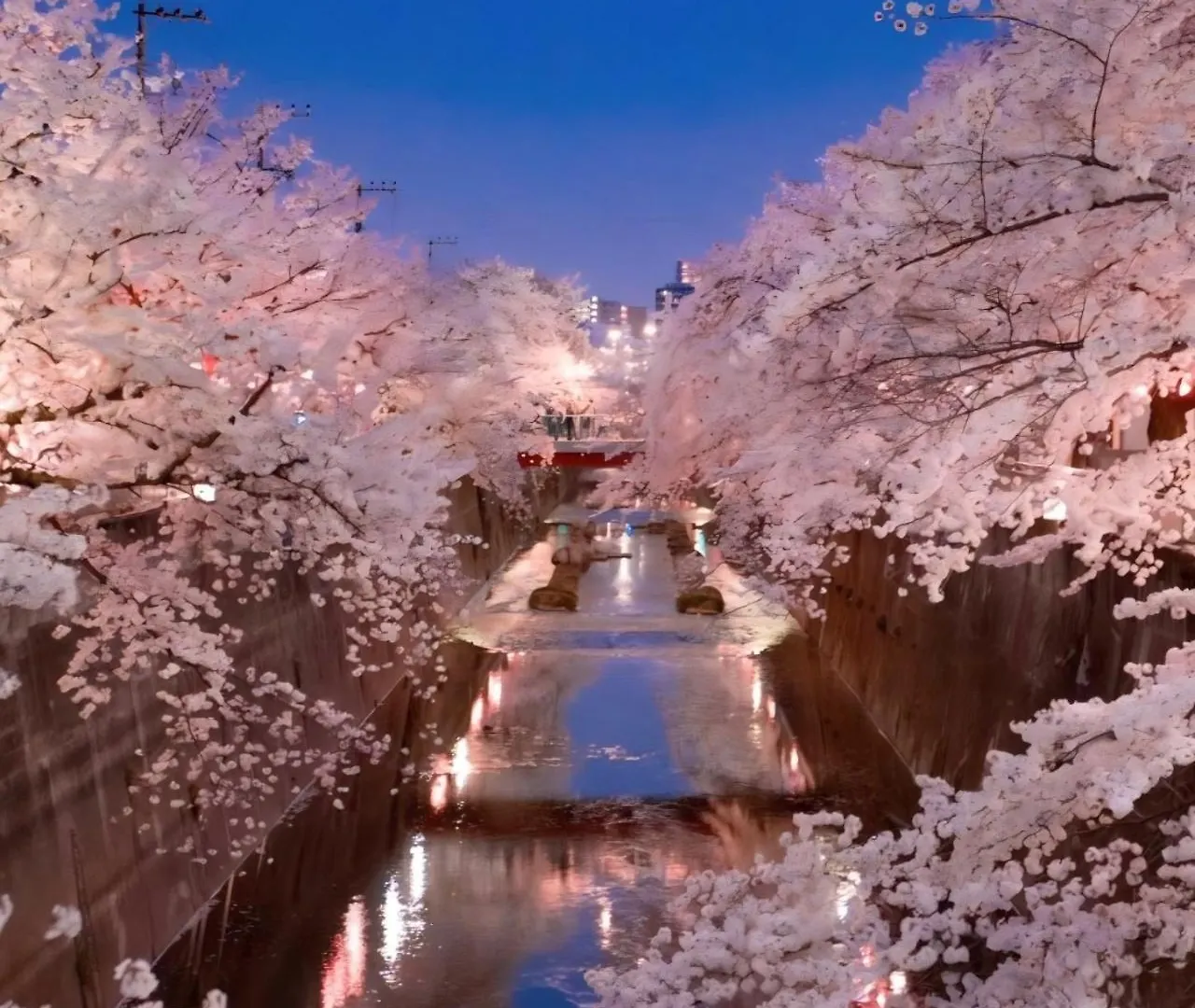 Komorebi 101 - Vacation Stay 18385 Tokyo Guest house